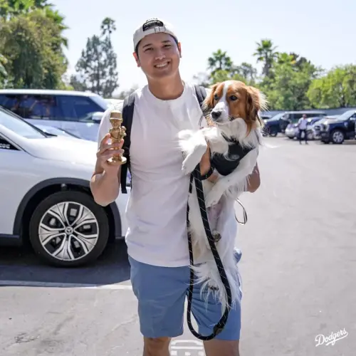 ▲大谷翔平養的科克爾犬品種稀有，個性開朗、聰明且充滿活力，與大谷的互動十分親密。（圖／Dodgers X）