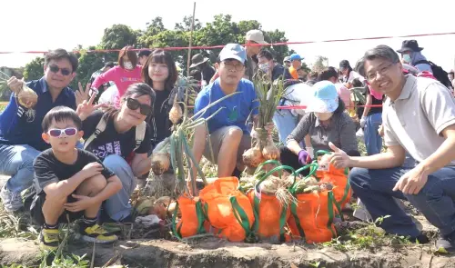 ▲台灣中油公司石化事業部舉辦採摘洋蔥趣活動，增進員工及眷屬親子同樂，並體驗採摘洋蔥的樂趣。(圖／中油石化事業部提供)