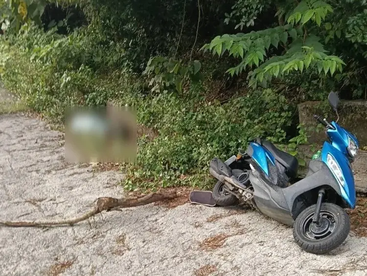 ▲屏156線驚見男屍趴地倒草叢、機車斜倒。（圖／民眾提供）