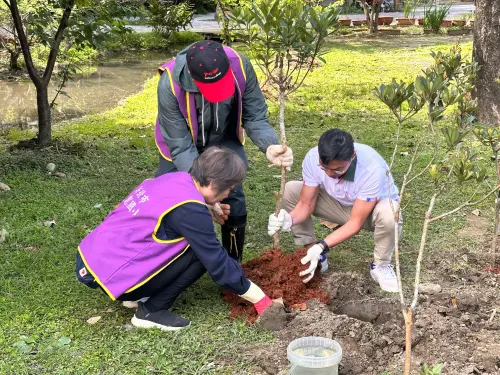 房市／新北市府攜企業共植　信義房屋響應綠化行動