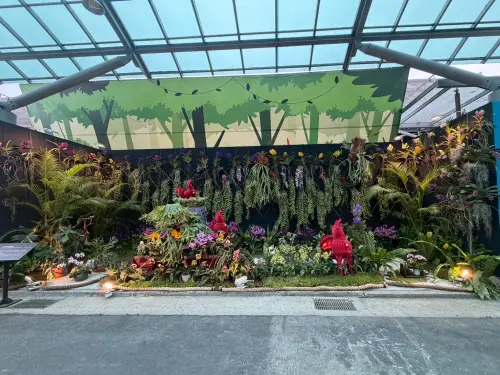 蘭花景觀競賽「最佳人氣獎」 南市府邀全民應援抽好禮