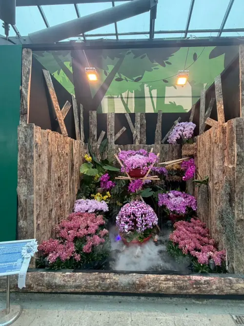 ▲ 數量極多且集中的蘭花造景，讓觀賞民眾眼睛為之一亮。（圖／南市府提供）