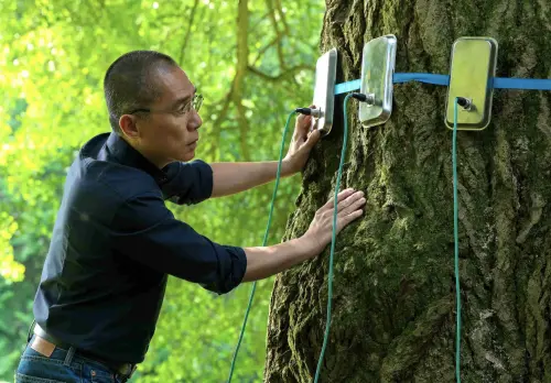 梁朝偉慘遭打槍！名導量身定做角色　被3國聯合製片砲轟：不可能