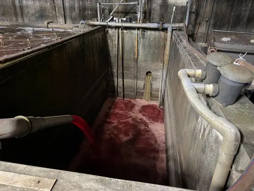 ▲新北環保局在福伯食品廠內查獲非法專管，暗紅色屠宰血水未經處理直排溪流，情節重大遭現場勒令停工，並面臨最高 2000 萬元罰鍰。（圖／新北環保局提供ntpc.gov.tw/）