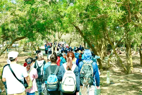 鐵砧山浪漫健行　大坑森林療癒接力