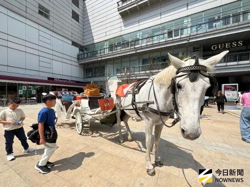 ▲在廣場打造白馬與馬車景觀裝置，馬車上放置限量巨型柏金與凱莉包超吸睛，成為逛街民眾打卡熱點。(圖／記者金武鳳攝，2026.3.14)