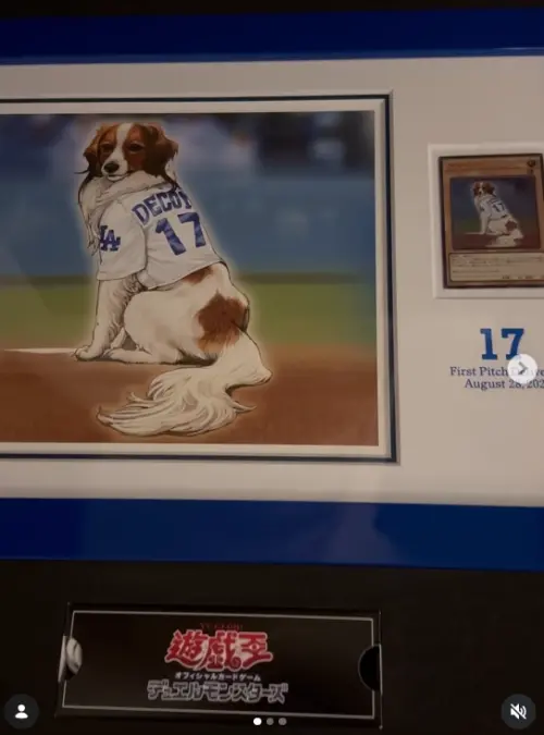 ▲大谷翔平的愛犬「彈額頭」擁有專屬《遊戲王》特製卡片。（圖／大谷翔平IG）