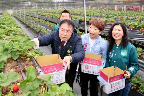 2026臺灣國際蘭展閉幕倒數　黃偉哲打造台南春季產業巡禮