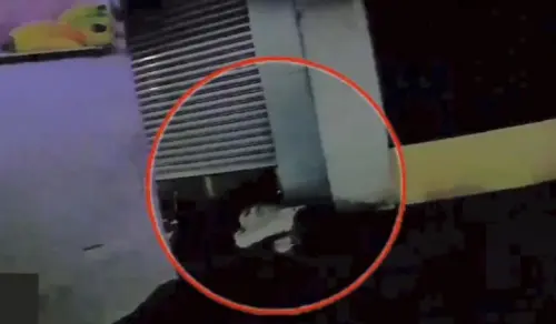 ▲台南北區14日晚間發生命案，姚姓男子疑不滿遭24歲黃姓男友傳染性病，持水果刀當街攻擊，造成黃男腹部重創、臟器外露。黃男送醫搶救後仍不治，姚男當場遭逮依殺人罪送辦。（圖／翻攝畫面）