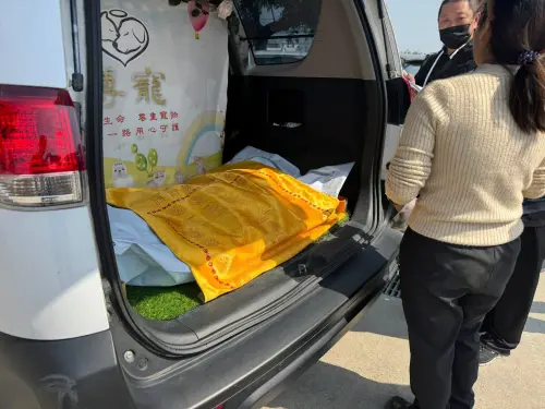 ▲找到健康遺體後，珍愛協會輕輕地幫牠洗去身上的海沙，送牠走完狗生最後一程。（圖／新竹縣流浪動物珍愛協會）