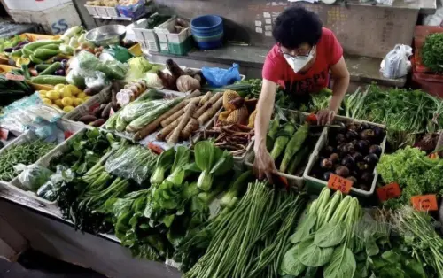 大馬農業部喊話官員在家種菜因應糧食危機　反對派批本末倒置