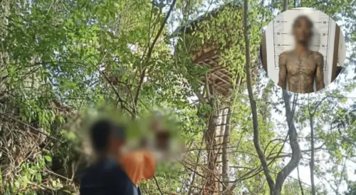 泰國職業殺手躲深山樹屋行凶逾10人　下山採買食物遭警方逮捕