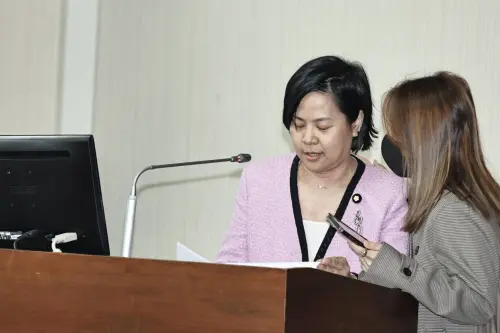 戰狼小姐姐2度上台救援李貞秀！綠委痛批：沒資格又沒能力
