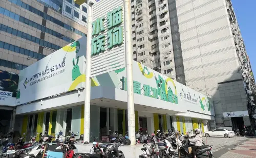 生小孩不如養毛孩？全台寵物店破6800家　專家揭新北寵物商機最旺