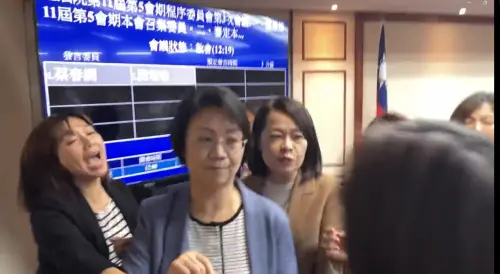 程序委員會藍白少1人！翁曉玲「沒收表決」　綠委氣炸痛批荒謬