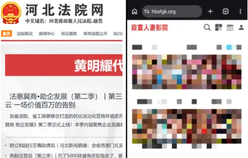 河北法院網站變「寂寞人妻影院」　慘被虧：只有河北彩花教學影片

