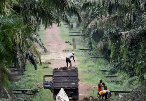 強迫勞動？印尼強硬否認　川普301調查連環出招恐引爆關稅風暴