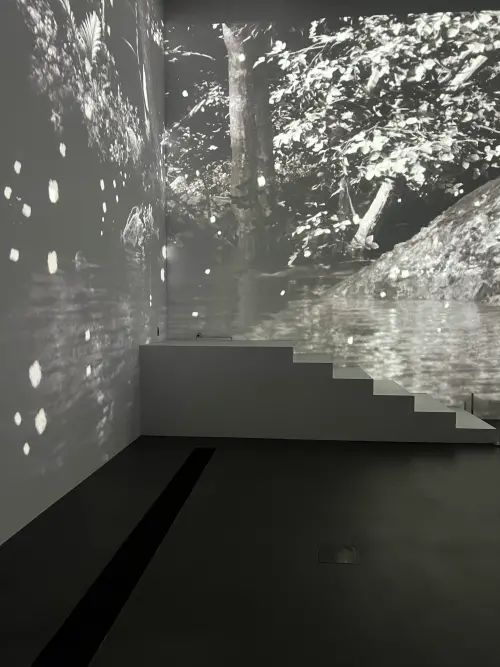 ▲新北市美術館各展區整體規劃完整，也有大型投影裝置營造視覺效果，但整體主題與亮點略顯不足。（圖／記者賴禹妡攝）