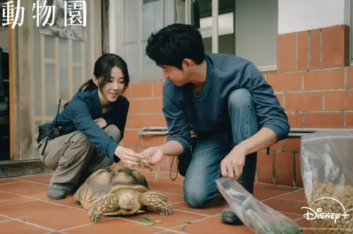 ▲《動物園》中有許多可愛的動物，是今年度的療癒影集。（圖／Disney+）