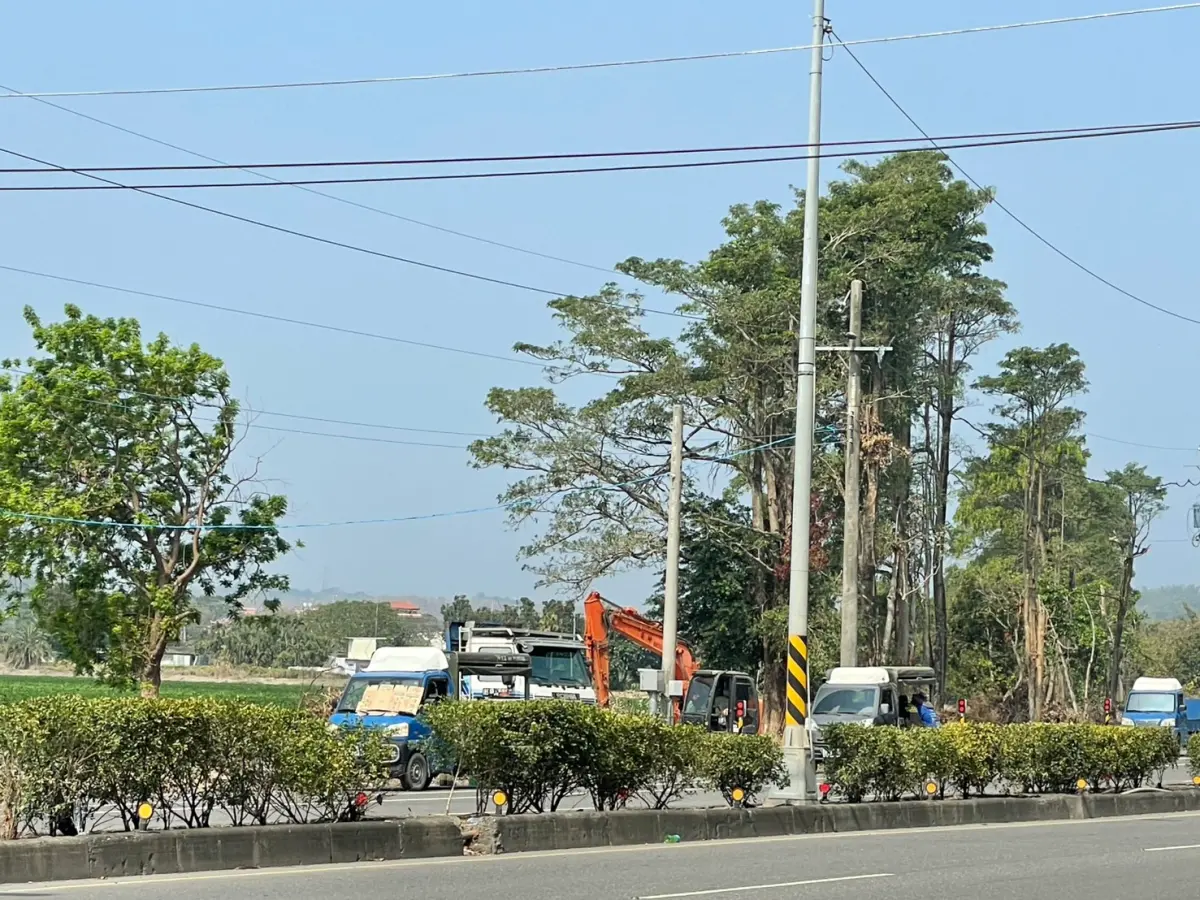 ▲台3線旗山手巾寮往屏東里港路段，近日出現怪手大規模砍伐路樹，立委邱議瑩今天第一時間要求台糖公司立即停止砍樹作業。（圖／立委邱議瑩辦公室提供）