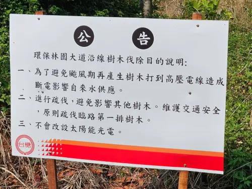 ▲台糖表示，林園大道伐樹是為避免颱風期間路樹倒塌影響電力與供水安全。（圖／立委邱議瑩辦公室提供）