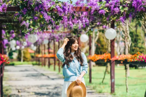 ▲每年春季迎來夢幻的許願藤花季，紫色花串如瀑布般垂落，形成浪漫花廊景致。(圖／成美文化園提供2026.3.20)