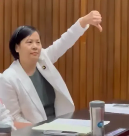 立院綠白激戰！李貞秀比「倒讚」嗆黃捷　綠委怒轟：中國人滾回去