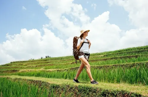 83%台灣旅客重視永續！旅遊平台：近半數嚮往環保＋挺在地行程
