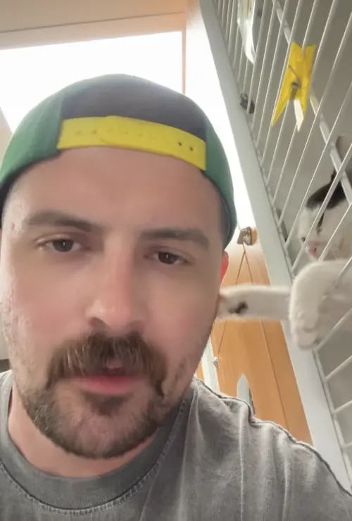 ▲米蘭特到住家附近的動物收容中心，希望帶回一隻與自己有緣的寵物，沒想到竟被一隻小貓主動拍肩吸引，意外促成領養決定。（圖／翻攝自TikTok@mariomirante）