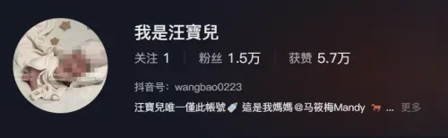 ▲汪小菲與馬筱梅的兒子汪寶兒抖音帳號，至今已有破萬人追蹤。（圖／抖音@wangbao0223）