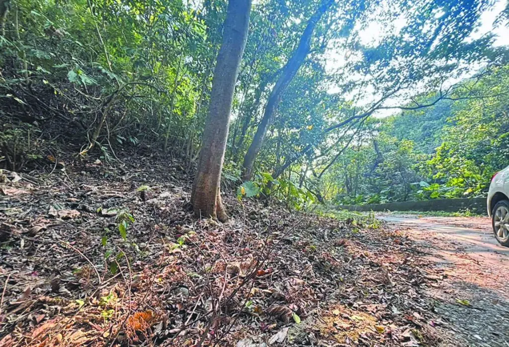 ▲彰化縣員林百果山傳出駭人命案，有民眾行經湖水路旁一處產業道路，發現一名男子倒臥路邊明顯死亡。（示意／民眾提供）