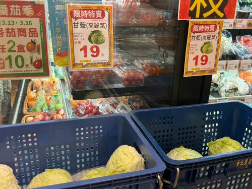 全聯高麗菜19元最後一天！內行分享水耕法保存　免冰2個月不會壞