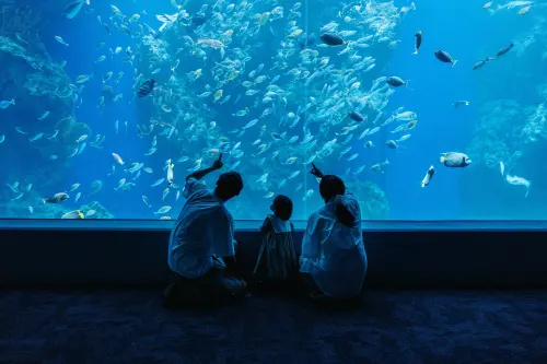 連假必去　台中海洋館捐書免費入館　看企鵝產蛋