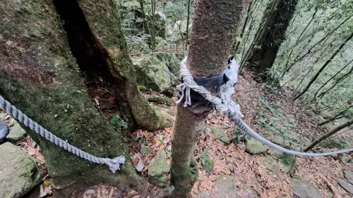 ▲鳶嘴山登山繩遭蓄意割斷(圖／警方提供2026.3.23)