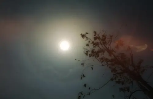 馬來西亞首波熱浪來襲！氣溫飆40度　聖嬰現象恐讓高溫持續到年底