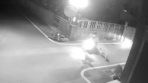 抓到飼主了！彰化嬤遭3惡犬撕咬縫200針　警靠郵差揪養雞場業者