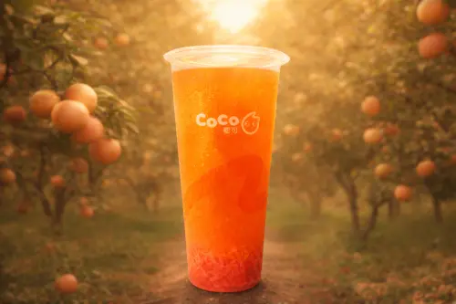 CoCo葡萄柚果粒茶買一送一！珍奶免50元　迷客夏2杯99元飲料優惠
