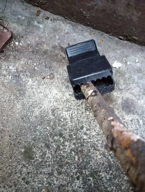 ▲由於捕獸鋏與山豬吊具備強大殺傷力，動保處特別呼籲民眾使用竹竿或長棍，遠距離觸發陷阱踏板使其閉合，確認無危險後再戴上手套移除。（圖／新北動保處）