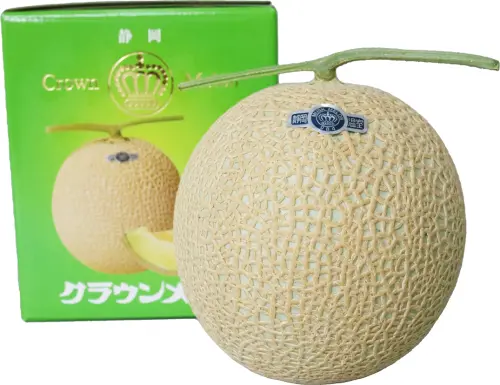 ▲日本靜岡縣哈密瓜，原價3,280元 _ 顆，特價2,580元／顆。（圖／city'super提供）