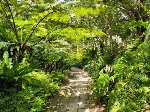 ▲中信銀行長期投入三重世貿公園生態保育，以噴水造霧等措施營造蕨類棲地、模仿自然地形落實水土保持，推動生物多樣性成效卓著，今日獲農業部林業及自然保育署頒發「保育共生地」認證。（圖／中信銀行提供）