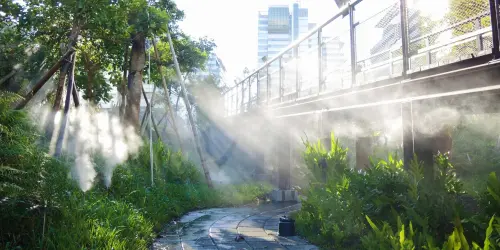 ▲中信銀行長期投入三重世貿公園生態保育，以噴水造霧等措施營造蕨類棲地、模仿自然地形落實水土保持，推動生物多樣性成效卓著，今日獲農業部林業及自然保育署頒發「保育共生地」認證。（圖／中信銀行提供）
