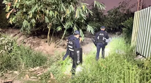 酒醉男廟會刺傷3人！躲山區3天喝泉水維生　傷重下山就醫落網收押