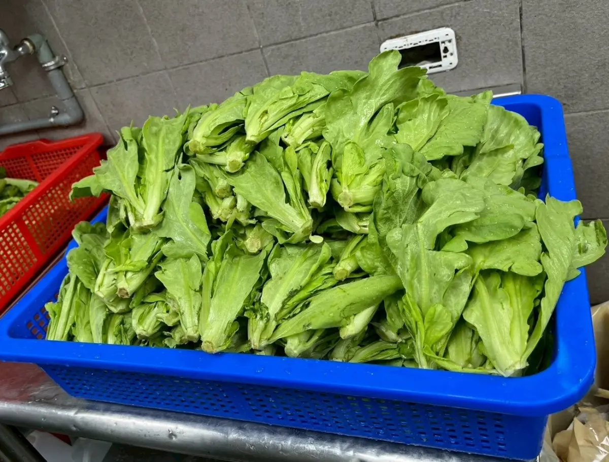 ▲台北市衛生局昨（25）日公布1-2月生鮮蔬果殘留農藥抽驗結果，多家知名火鍋店的茼蒿不合格，包括萬有全涮羊肉、打狗霸西門店、錢都日式涮涮鍋市民大道店、三媽臭臭鍋松山饒河店。（圖／台北市衛生局提供https://health.gov.taipei/）