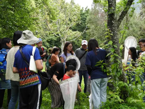 ▲農業部林業及自然保育署表示，自4月3日至6日推出12歲以下兒童可免費進入14個森林遊樂區，圖為奧萬大。（圖／林保署提供 www.forest.gov.tw）