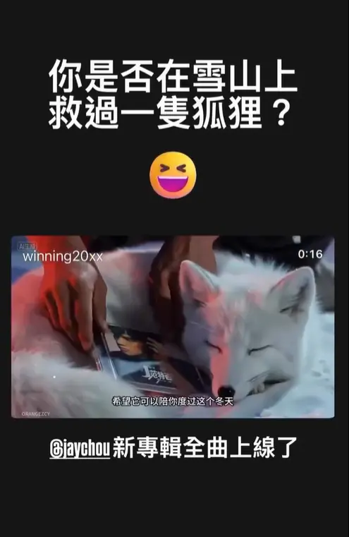 ▲《雪山救狐狸》竟改編為周杰倫宣傳新專輯，還出現他2001年發行的《范特西》。（圖／阿信IG@ashin_ig）