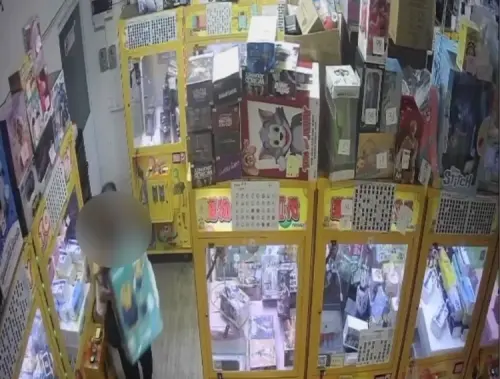 男子夾娃娃機店抱走「洪金豹」遭警查緝送辦
