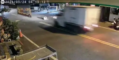 屏東貨車飆速輾斃狗　駕駛下車狠踢一腳、拖行路邊棄屍逃逸
