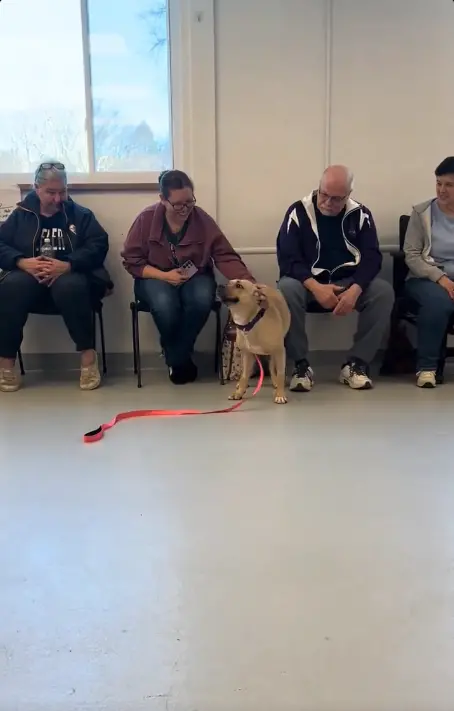 ▲（圖／翻攝自TikTok@all_deez_animals）