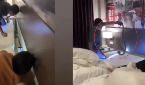 飯店裡有蛇！東南亞旅客睡到半夜嚇破膽　蛇在床頭櫃