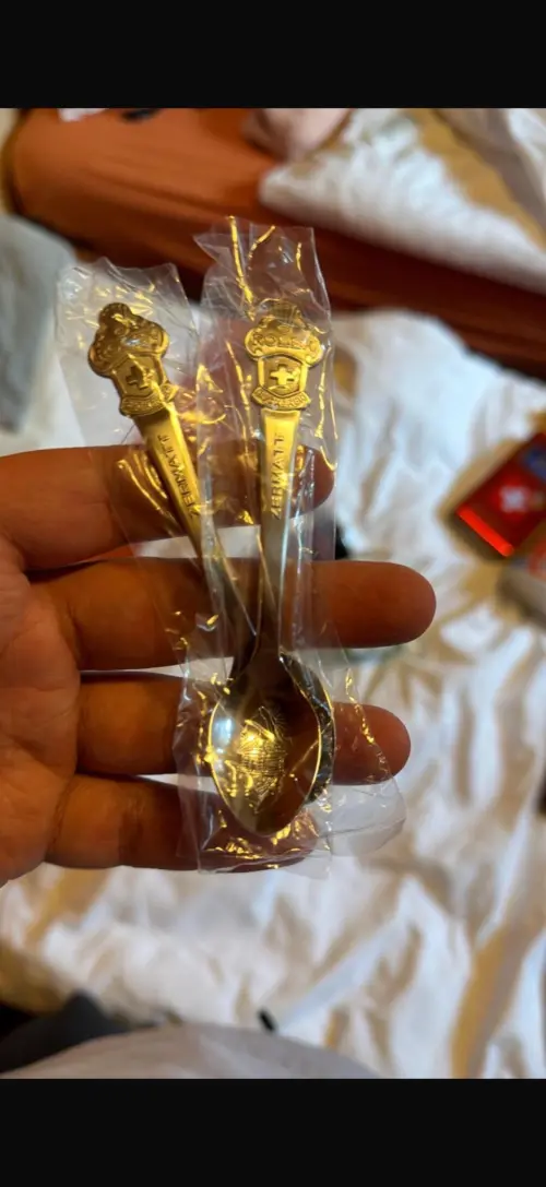 ▲郁方分享兒子在瑞士獲得了勞力士紀念湯匙。（圖／好門媳婦的秘密生活郁小方﻿ 臉書）